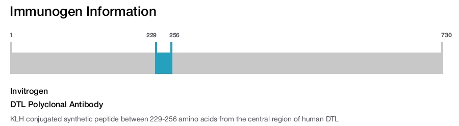 DTL Polyclonal Antibody