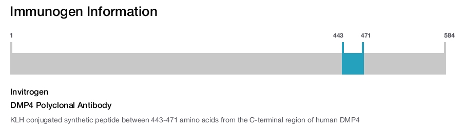 DMP4 Polyclonal Antibody