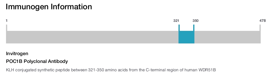 POC1B Polyclonal Antibody