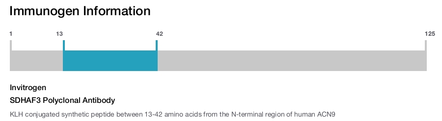 SDHAF3 Polyclonal Antibody