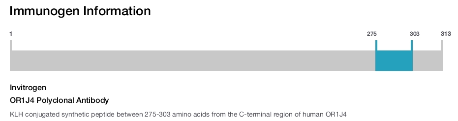 OR1J4 Polyclonal Antibody