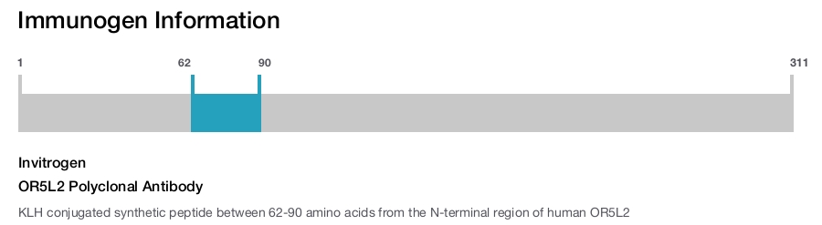 OR5L2 Polyclonal Antibody