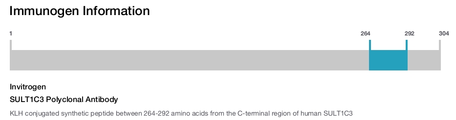 SULT1C3 Polyclonal Antibody