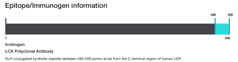 LCK Polyclonal Antibody