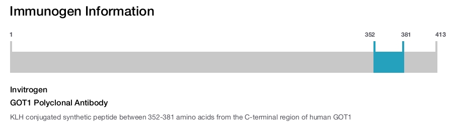GOT1 Polyclonal Antibody