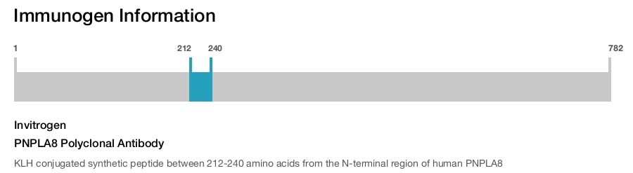 PNPLA8 Polyclonal Antibody
