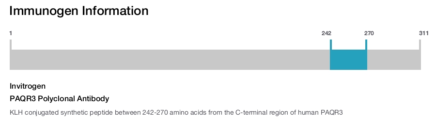 PAQR3 Polyclonal Antibody