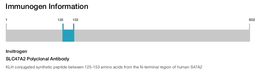 SLC47A2 Polyclonal Antibody