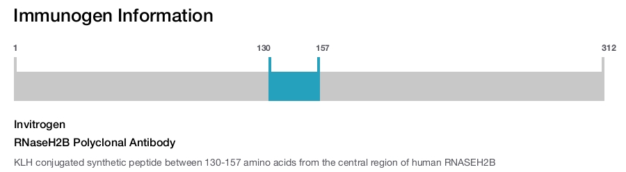 RNaseH2B Polyclonal Antibody