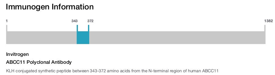 ABCC11 Polyclonal Antibody