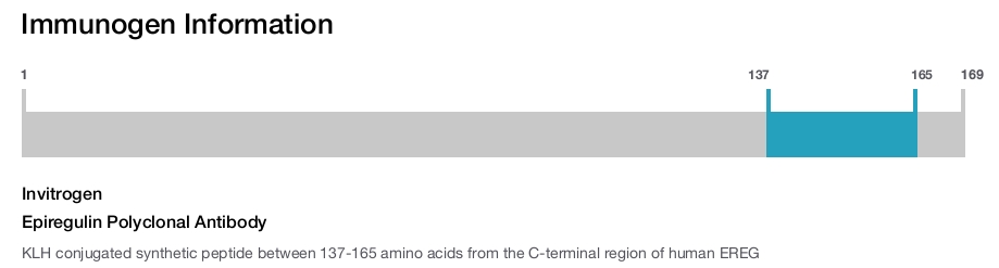 Epiregulin Polyclonal Antibody