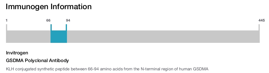 GSDMA Polyclonal Antibody