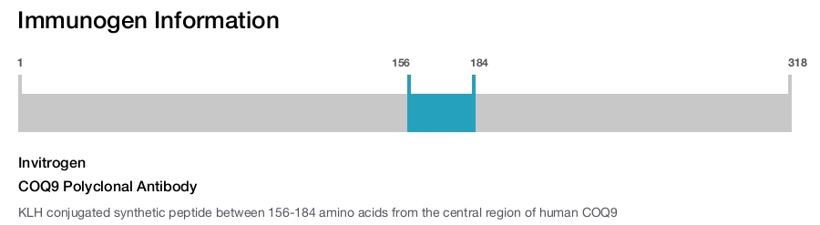 COQ9 Polyclonal Antibody
