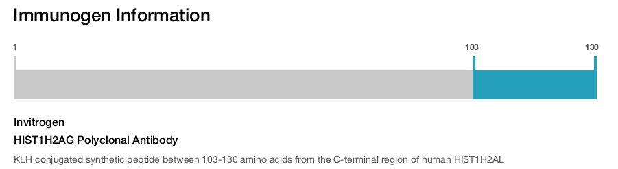 HIST1H2AG Polyclonal Antibody