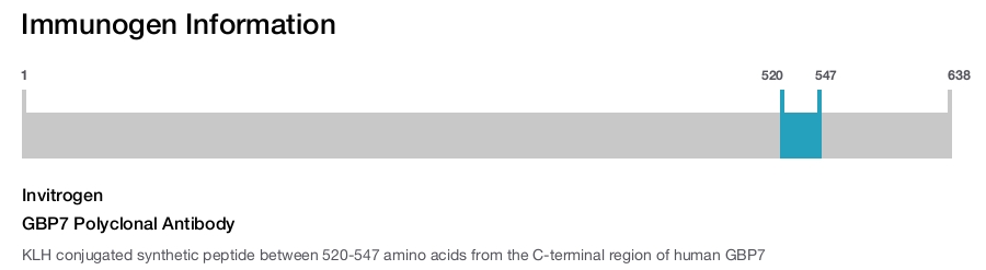 GBP7 Polyclonal Antibody