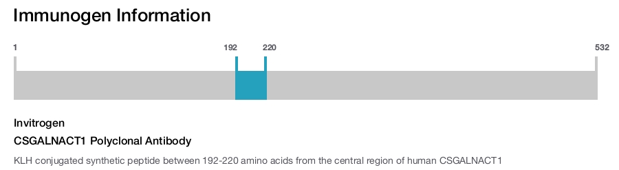 CSGALNACT1 Polyclonal Antibody