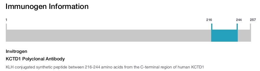 KCTD1 Polyclonal Antibody