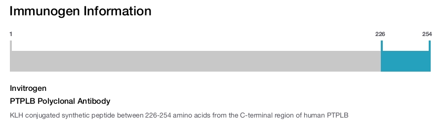 PTPLB Polyclonal Antibody