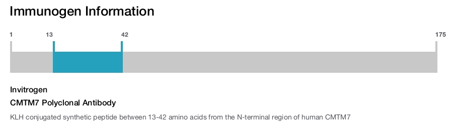 CMTM7 Polyclonal Antibody