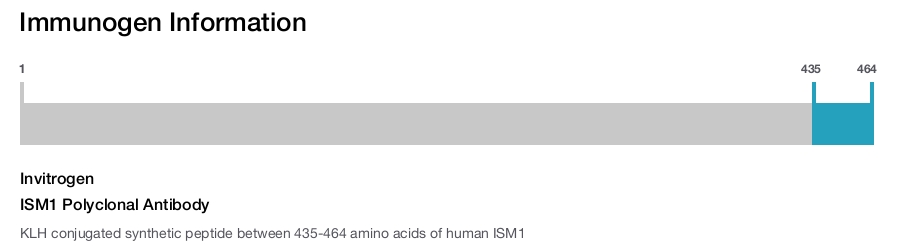 ISM1 Polyclonal Antibody