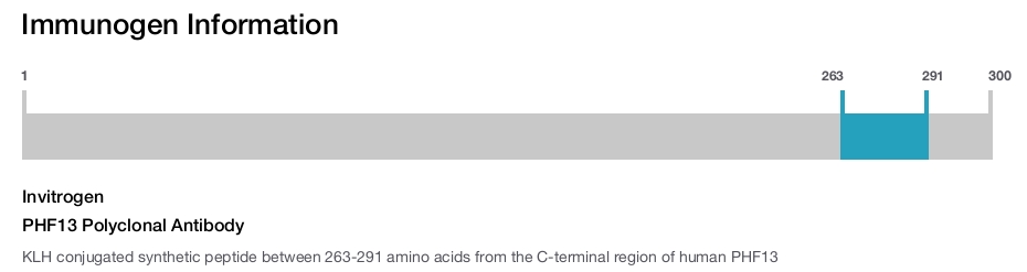 PHF13 Polyclonal Antibody