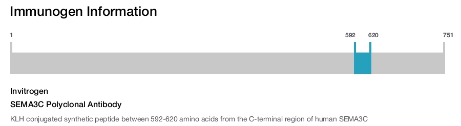 SEMA3C Polyclonal Antibody