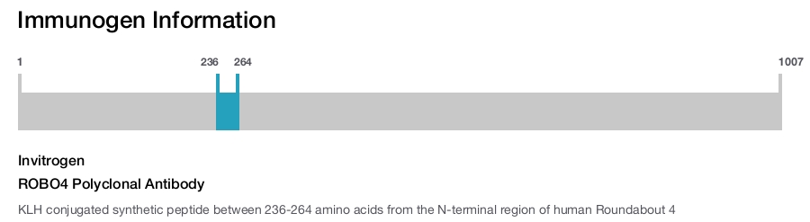 ROBO4 Polyclonal Antibody