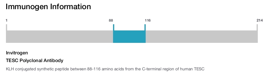 TESC Polyclonal Antibody