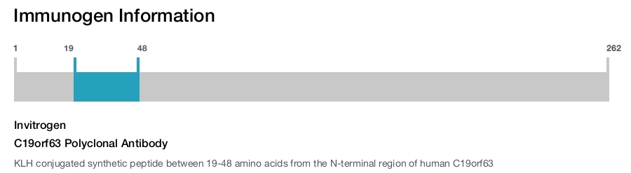 C19orf63 Polyclonal Antibody