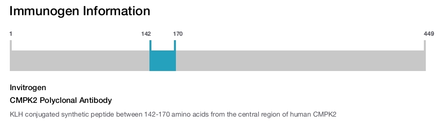 CMPK2 Polyclonal Antibody
