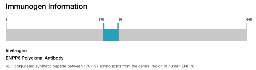 ENPP6 Polyclonal Antibody