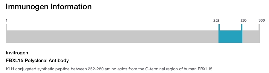FBXL15 Polyclonal Antibody