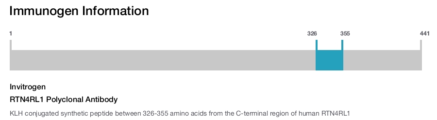 RTN4RL1 Polyclonal Antibody