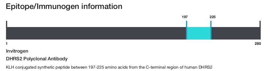 DHRS2 Polyclonal Antibody