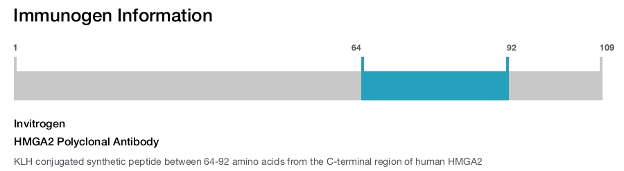 HMGA2 Polyclonal Antibody