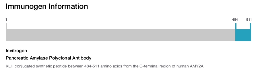 Pancreatic Amylase Polyclonal Antibody