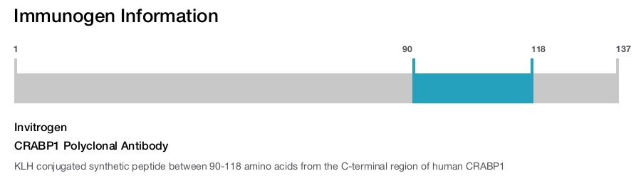 CRABP1 Polyclonal Antibody