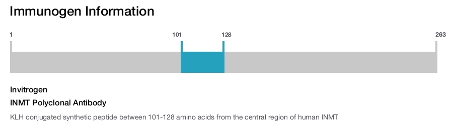INMT Polyclonal Antibody