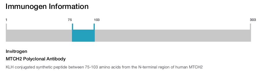 MTCH2 Polyclonal Antibody