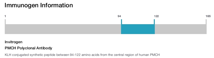 PMCH Polyclonal Antibody