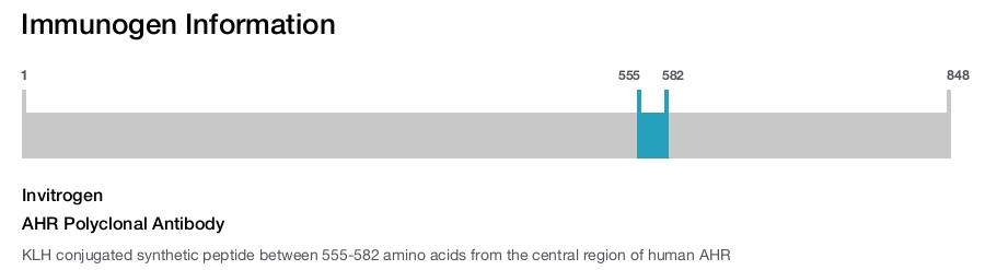 AHR Polyclonal Antibody