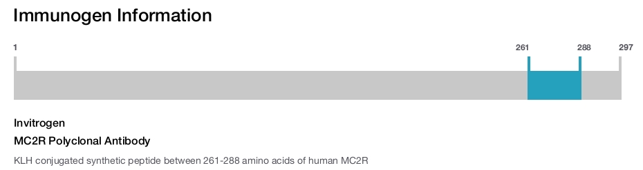 MC2R Polyclonal Antibody