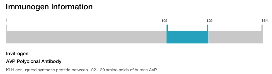 AVP Polyclonal Antibody