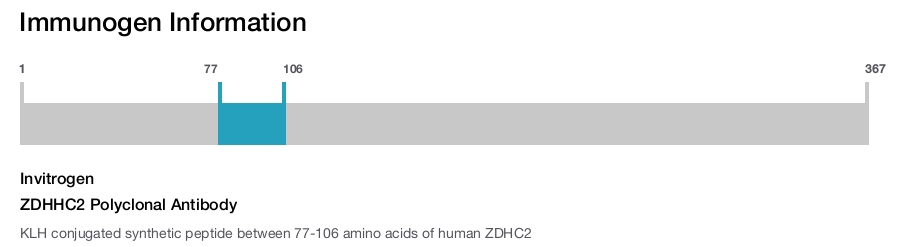 ZDHHC2 Polyclonal Antibody