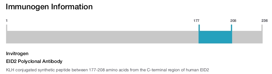 EID2 Polyclonal Antibody
