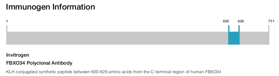 FBXO34 Polyclonal Antibody