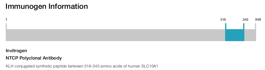 NTCP Polyclonal Antibody