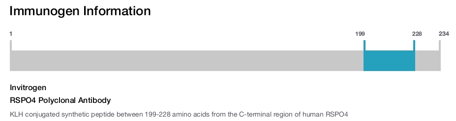 RSPO4 Polyclonal Antibody