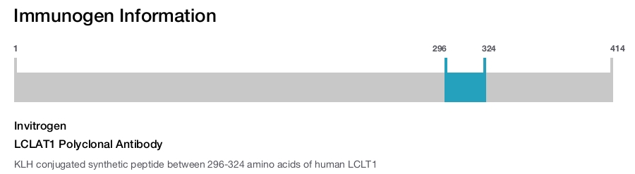 LCLAT1 Polyclonal Antibody