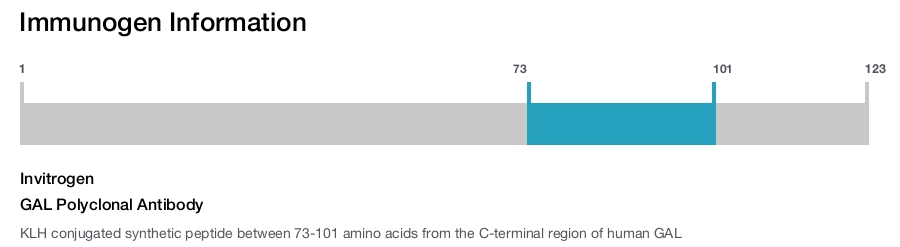 GAL Polyclonal Antibody